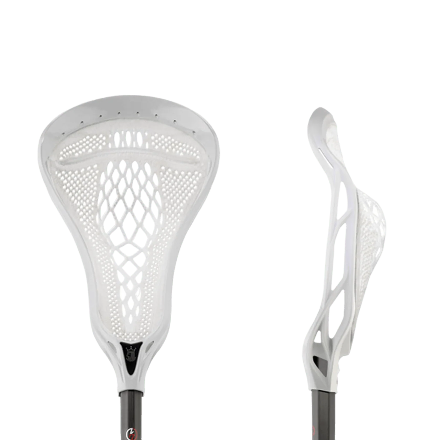 Brine Dynasty Warp Pro Kylie Ohlmiller - Image 4